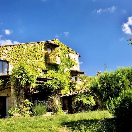 Penzion Podere Patrignone Castellina in Chianti Exteriér fotografie