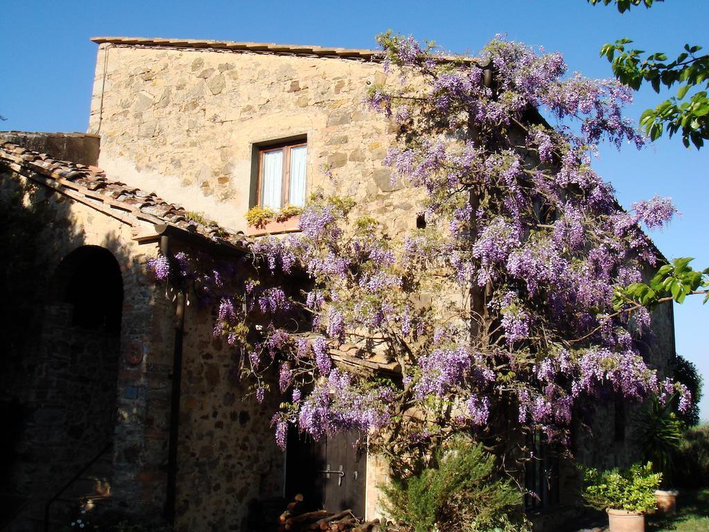 Penzion Podere Patrignone Castellina in Chianti Exteriér fotografie