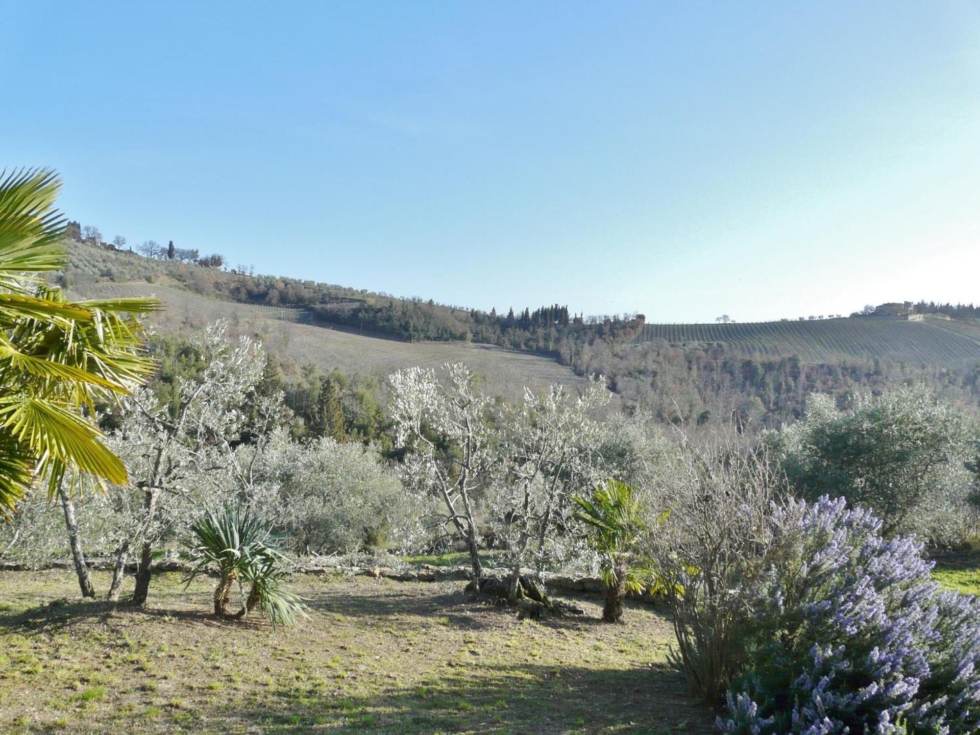 Penzion Podere Patrignone Castellina in Chianti Pokoj fotografie