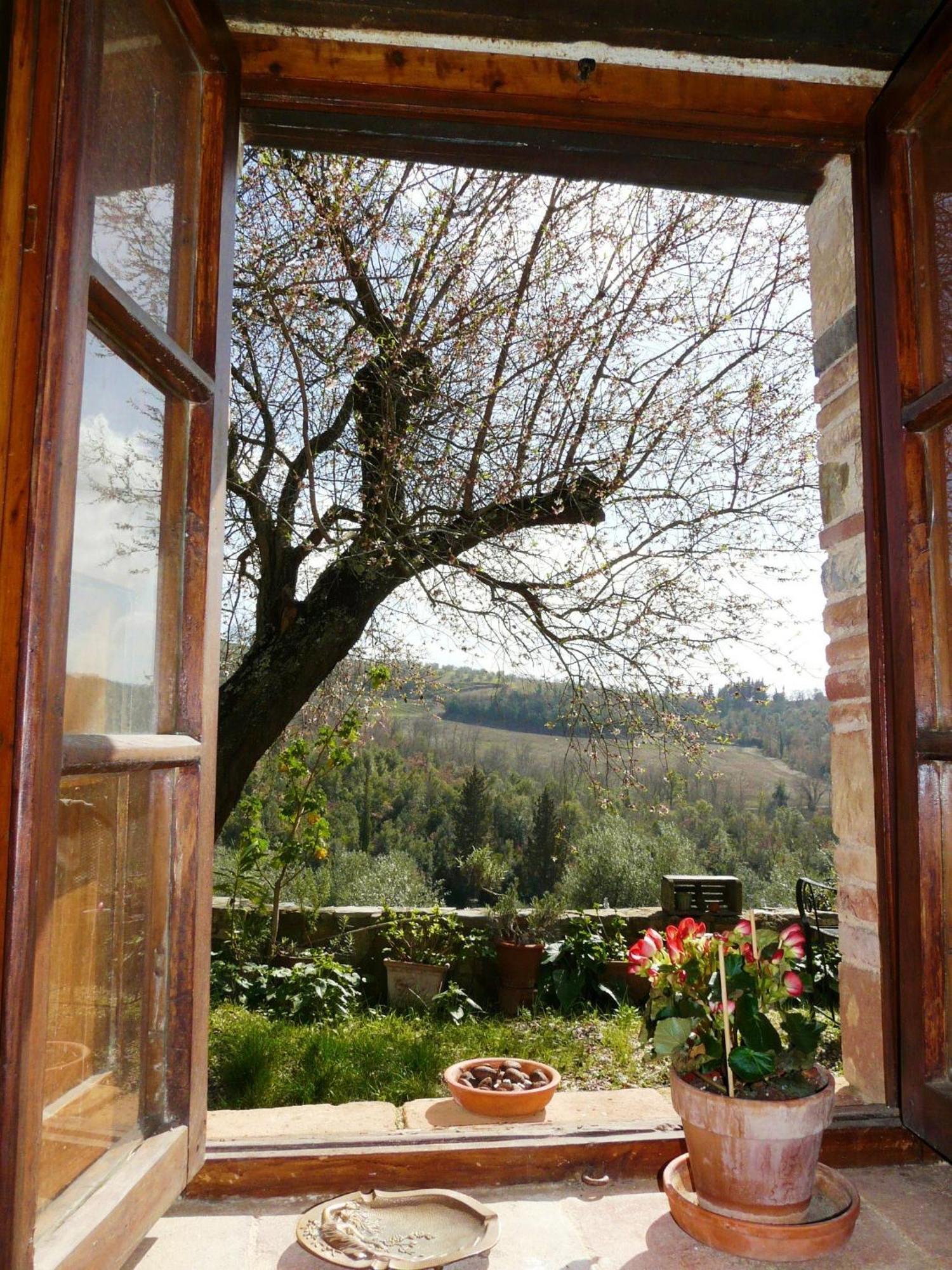 Penzion Podere Patrignone Castellina in Chianti Pokoj fotografie